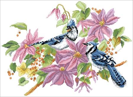 (image for) Blue Jays And Clematis
